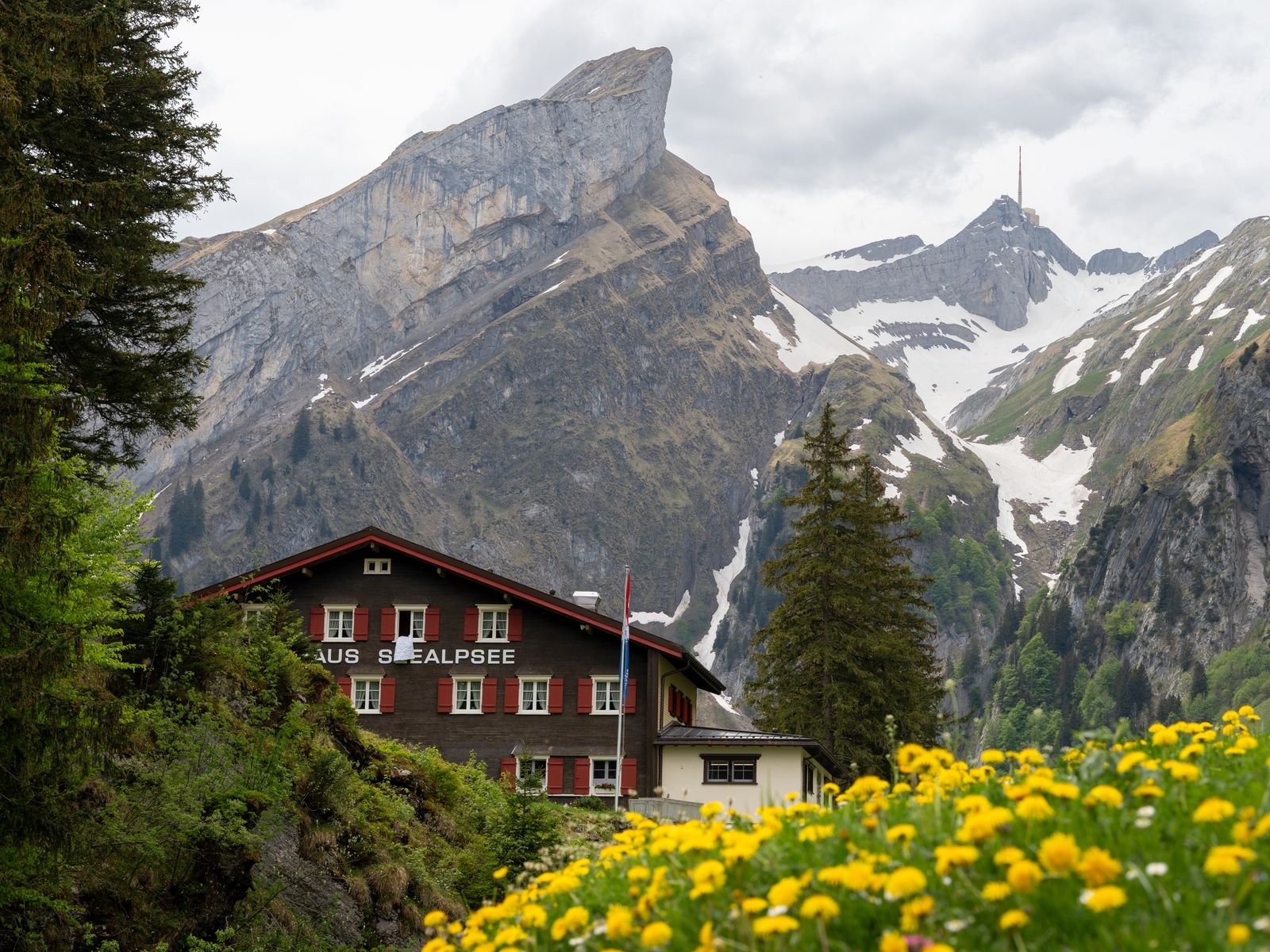 Maison appenzelloise traditionnelle face aux montagnes